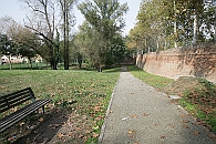 Img 159